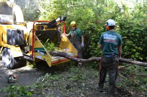 tree services New Palestine